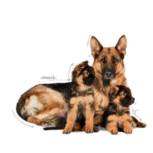 Royal Canin Starter Maxi