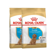 Royal Canin Puppy Poodle – 2 bolsas