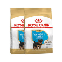 Royal Canin Puppy Yorkshire Terrier – 2 bolsas