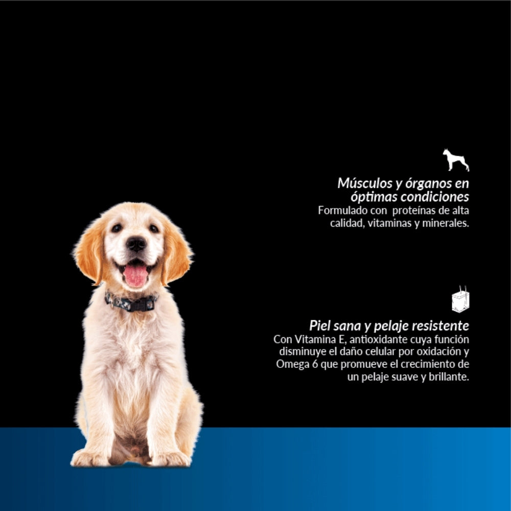 Canbo Cachorros Hipoalergénico