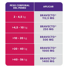 Bravecto perros muy grandes (40 - 56 kg)