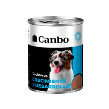 Canbo Cachorro Crecimiento Y Desarrollo