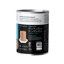 Canbo Cachorro Crecimiento Y Desarrollo