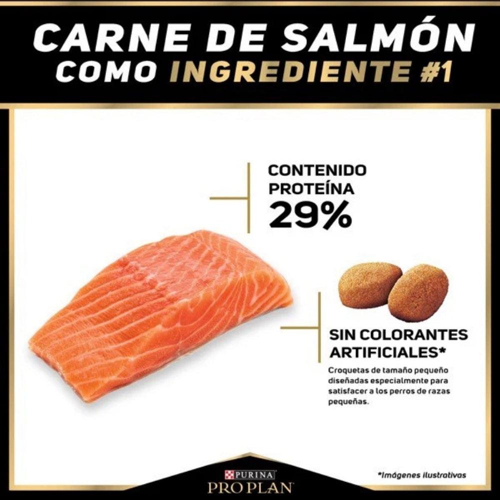 Pro Plan Sensitive Skin Adultos Razas Pequeñas de Salmón