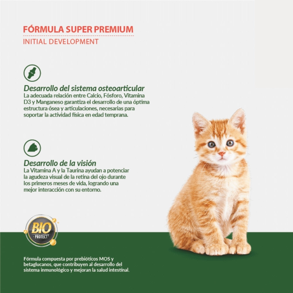 Canbo Gatitos con Pollo