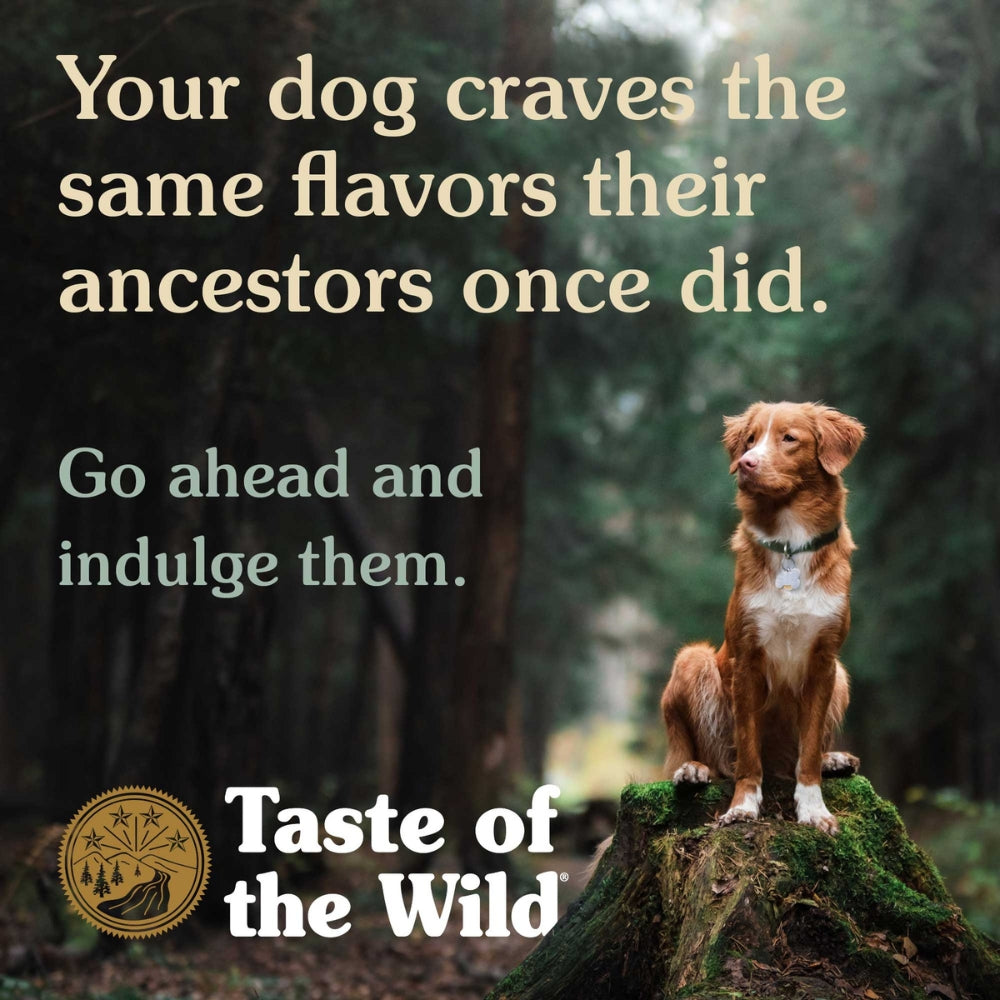 Taste Of The Wild Southwest Canyon with Wild Boar