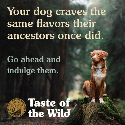 Taste Of The Wild Southwest Canyon with Wild Boar