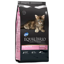 Equilibrio Indoor Gatitos