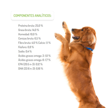 Brit Care Grain Free Adult Large Breed Salmon