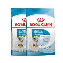 Royal Canin Starter Mini – 2 bolsas