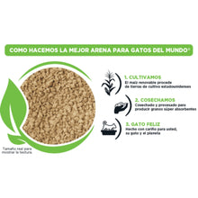 World’s Best Arena para Gato multicat