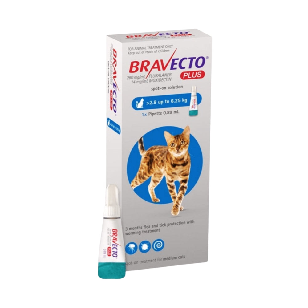 Bravecto Plus gatos (>2,8 – 6,25 kg)