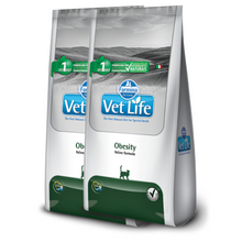 Vet Life Obesity Feline – 2 bolsas