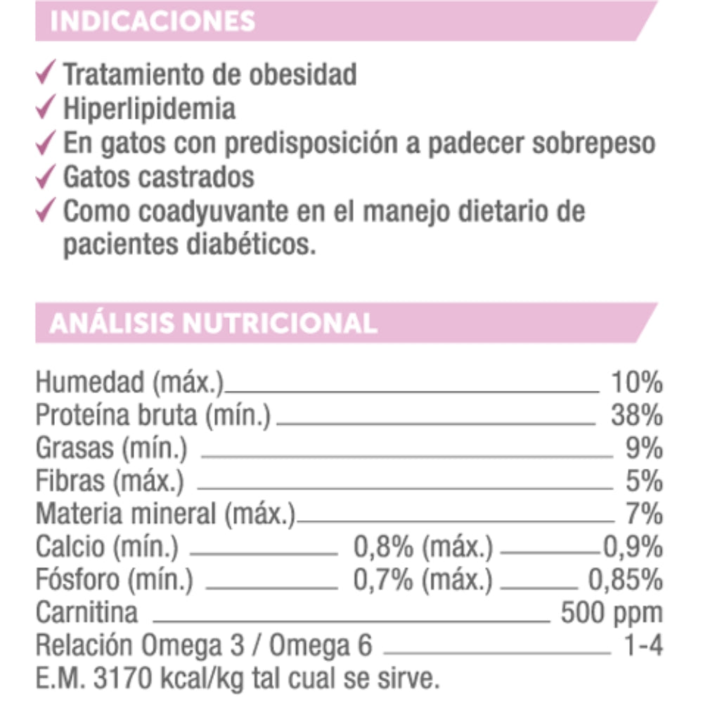 Holliday MV Obesidad Gatos