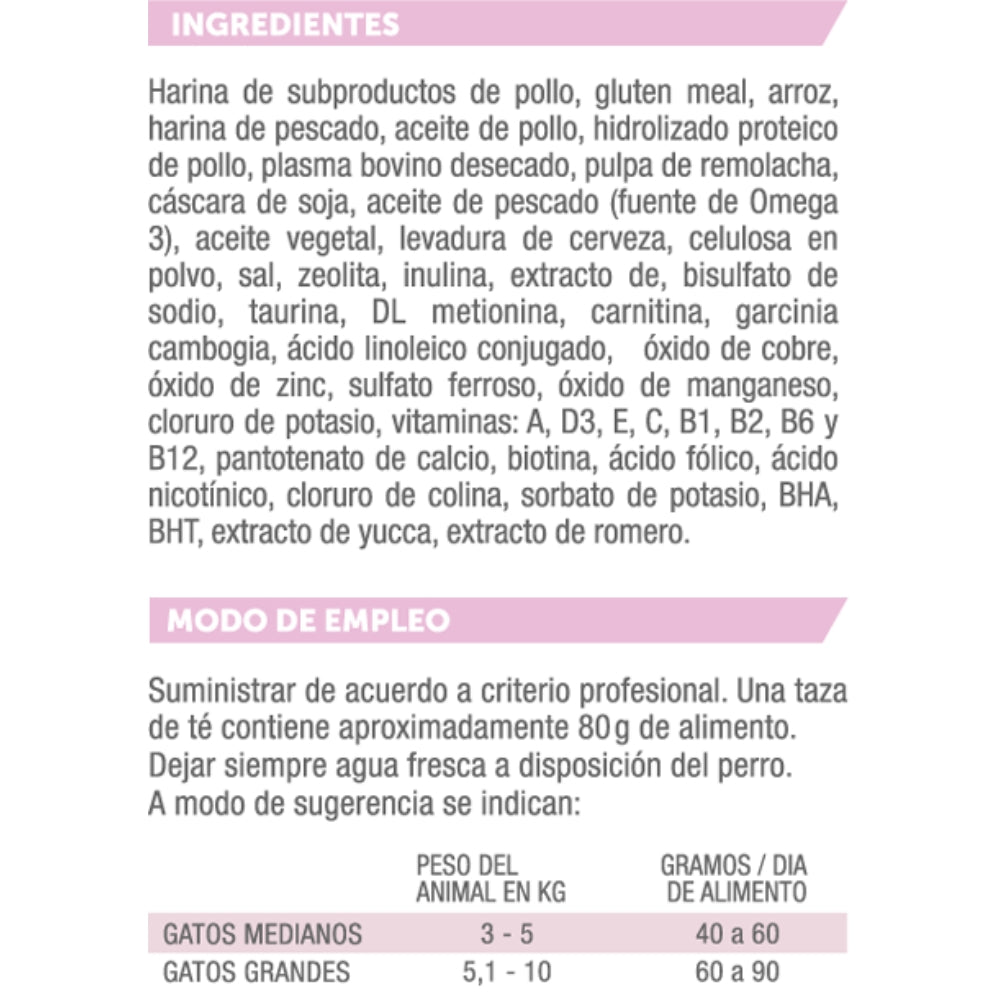 Holliday MV Obesidad Gatos