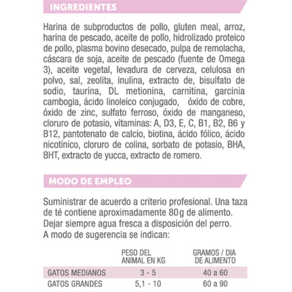 Holliday MV Obesidad Gatos