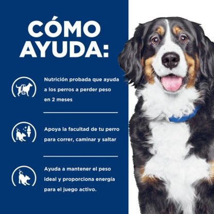 Hills PD Canine j/d Metabolic + Mobility