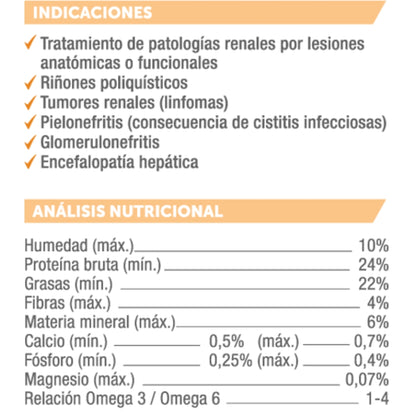 Holliday MV Renal Gatos