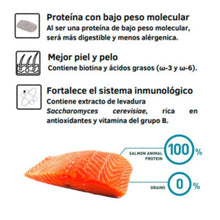 Bravery Adult Cat Sterilized Salmon