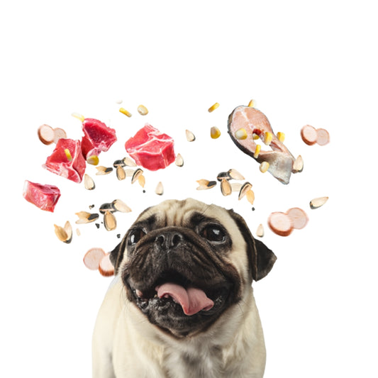 Allkjoy Adulto Razas Pequeñas