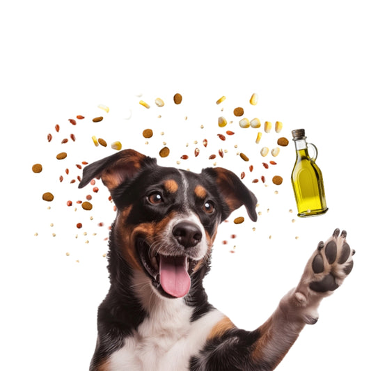 Allkjoy Adulto Vegetariano