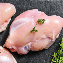 Gran Plus Gato Adulto sabor Pollo & Arroz