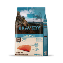 Bravery Puppy Large/Medium Breeds Salmon