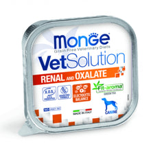 Monge Vet Solution Renal and Oxalate Canine lata
