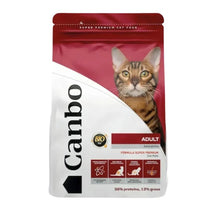 Canbo Gatos Adulto