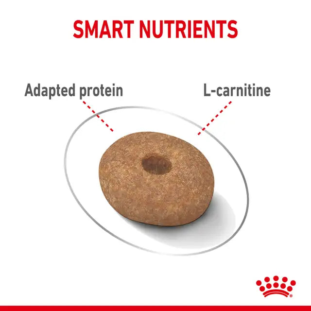 Royal Canin Mini Light Weight Care