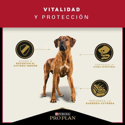 Pro Plan Adult Razas Grandes