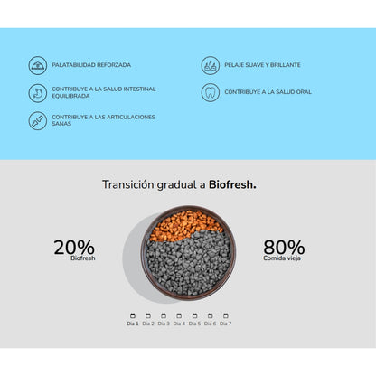 {product_title} {product_vendor} - Alimento premium para mascotas Perú