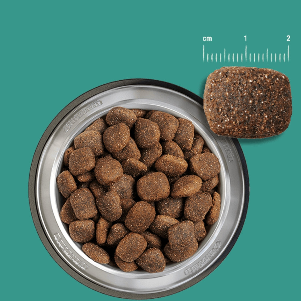 Belcando Adulto GF Ocean