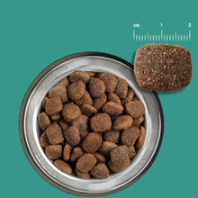 Belcando Adulto GF Ocean