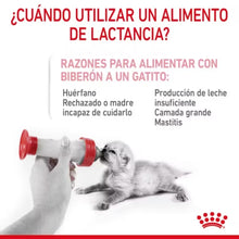 {product_title} {product_vendor} - Alimento premium para mascotas Perú