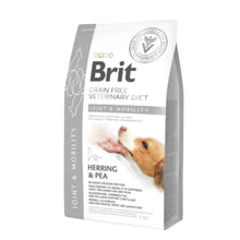 {product_title} {product_vendor} - Alimento premium para mascotas Perú