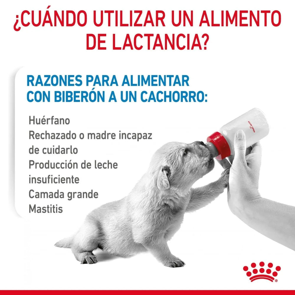 {product_title} {product_vendor} - Alimento premium para mascotas Perú