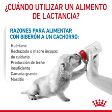 {product_title} {product_vendor} - Alimento premium para mascotas Perú