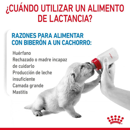 {product_title} {product_vendor} - Alimento premium para mascotas Perú