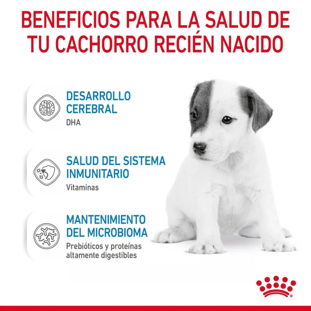 {product_title} {product_vendor} - Alimento premium para mascotas Perú