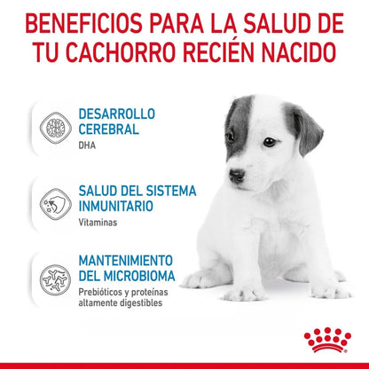 {product_title} {product_vendor} - Alimento premium para mascotas Perú