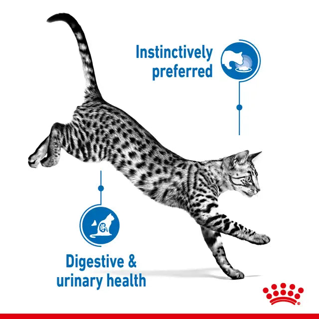 Royal Canin FHN Indoor Sterilised Pouch 85 Gr