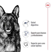 {product_title} {product_vendor} - Alimento premium para mascotas Perú