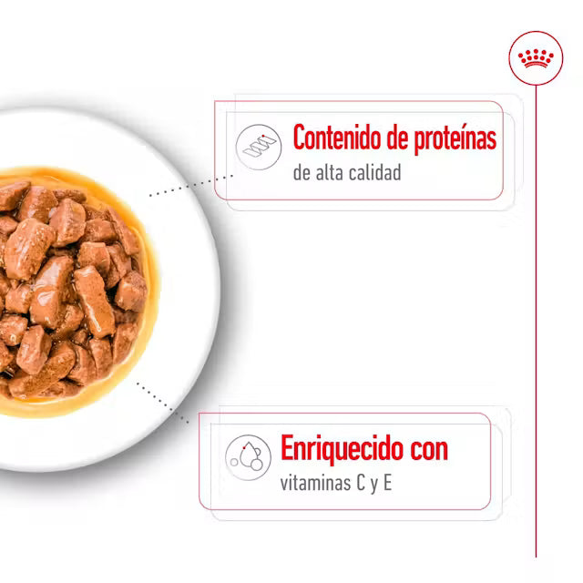 Royal Canin Medium Adult - pouch 140 gr.