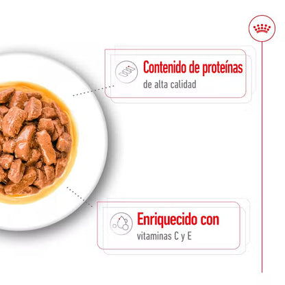 Royal Canin Medium Adult - pouch 140 gr.