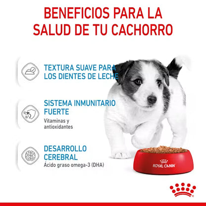 Royal Canin Mini Puppy - pouch 85 gr.