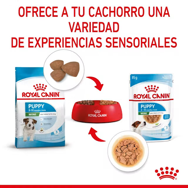 Royal Canin Mini Puppy - pouch 85 gr.