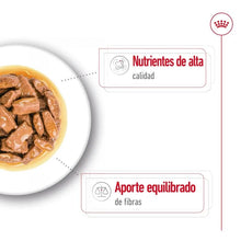 {product_title} {product_vendor} - Alimento premium para mascotas Perú