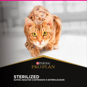 1-Gatos_-Sterilized-Calorie_Especialidades_E-COMERCE-PROPLAN.jpg