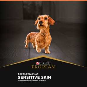 1-PORTADA-SENSITIVESKIN.jpg